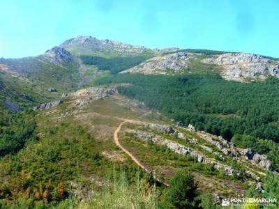 El Ocejón-Reserva Nacional Sonsaz;puig campana senderismo ancares mapa excursion sierra nevada bosq